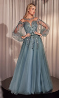 Sheer Long Sleeve Long Formal Dress