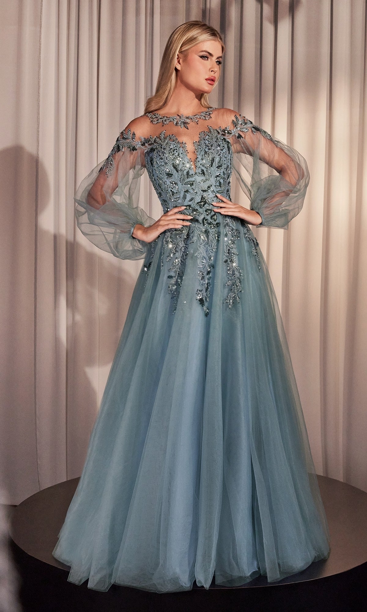 Sheer Long Sleeve Long Formal Dress